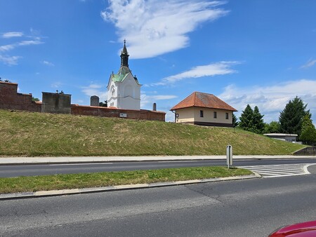 Zasaditev pokopališče Ljutomer4